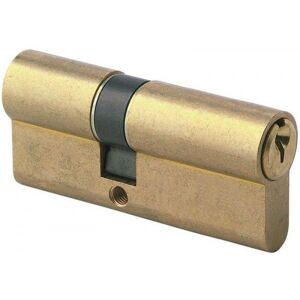 TESA ASSA ABLOY - Cylindre TE5 - 30x30mm - Laiton - Cylindre de sécurité TESA ASSA ABLOY - Cylindre TE5 - 30x30mm - Laiton - Cylindre de sécurité