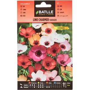 Semi di lino Charmer Batlle - Annuale - 45cm Semi di lino Charmer Batlle - Annuale - 45cm