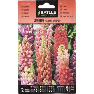 Semi di Lupino Perenne Variopinto - Regalo per Giardino - Batlle Semi di Lupino Perenne Variopinto - Regalo per Giardino - Batlle