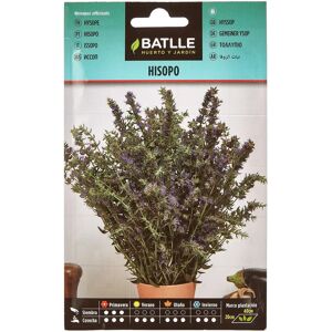 Graines de Hissopo Batlle - Herbe aromatique - Fleurs bleues - Usage médical & cuisine - 50cm - Publicité Graines de Hissopo Batlle - Herbe aromatique - Fleurs bleues - Usage médical & cuisine - 50cm - Publicité