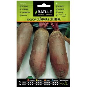 Semences de Betterave Cylindrique - Légumes - Publicité Semences de Betterave Cylindrique - Légumes - Publicité