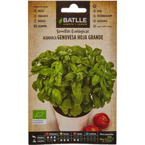 Graines de basilic génois à grandes feuilles - Batlle - Publicité Graines de basilic génois à grandes feuilles - Batlle - Publicité