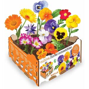 Kit de Culture de Fleurs Comestibles Batlle - 19x19x10cm - Publicité Kit de Culture de Fleurs Comestibles Batlle - 19x19x10cm - Publicité