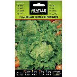 Graines de Laitue Batlle - Batavia Améliorée, Jaune Brillant - Laitue - Publicité Graines de Laitue Batlle - Batavia Améliorée, Jaune Brillant - Laitue - Publicité