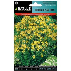 Batlle Hypericum Perforatum - Graines d'Herbes - 80-100 cm - Publicité Batlle Hypericum Perforatum - Graines d'Herbes - 80-100 cm - Publicité