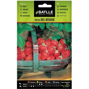 Batlle - Semences de Fraises des Bois - 20-25cm - Graines - Publicité Batlle - Semences de Fraises des Bois - 20-25cm - Graines - Publicité