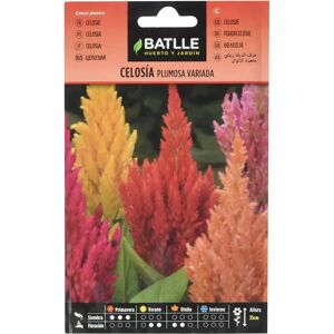 Batlle - Semi di Celosia Plumosa - Annua, Altezza 30cm - Per Gruppi e Vasi Batlle - Semi di Celosia Plumosa - Annua, Altezza 30cm - Per Gruppi e Vasi