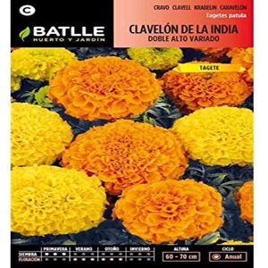 Batlle Semi di Calendula Doppia - Semi di Fiori Batlle Semi di Calendula Doppia - Semi di Fiori