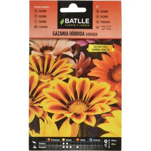 Semi di Gazania Ibrida Batlle - Adatto per aiuole, bordure e rocce Semi di Gazania Ibrida Batlle - Adatto per aiuole, bordure e rocce