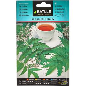 Graines de Valériane Batlle - Semences d'herbes pour relaxation - Publicité Graines de Valériane Batlle - Semences d'herbes pour relaxation - Publicité
