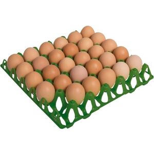 SUINGA - Bandeja para 30 Huevos - 30x30x5 cm - Bandeja de Huevos SUINGA - Bandeja para 30 Huevos - 30x30x5 cm - Bandeja de Huevos