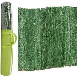 Suinga Bicolor Gartenscheinzaun mit dünnem Blatt 110 Stiele 2x3m - Gartenzweck Suinga Bicolor Gartenscheinzaun mit dünnem Blatt 110 Stiele 2x3m - Gartenzweck