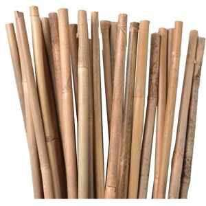 SUINGA Supports à plantes en bambou - 120cm, Pack de 30 - Publicité SUINGA Supports à plantes en bambou - 120cm, Pack de 30 - Publicité