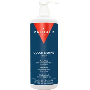 Valquer Valquer Ice Hair Mask - Color and Shine - 1000 ml Valquer Valquer Ice Hair Mask - Color and Shine - 1000 ml