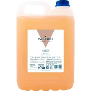 Valquer Laboratorios Valquer Shampoo - pH-neutral, B5, 99% natürliche Inhaltsstoffe - Haarpflege Valquer Laboratorios Valquer Shampoo - pH-neutral, B5, 99% natürliche Inhaltsstoffe - Haarpflege