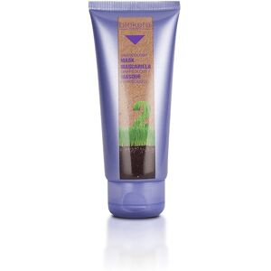 Salerm Kosmetik Grapeology Mask - Hårmaske för kvinnor Salerm Kosmetik Grapeology Mask - Hårmaske för kvinnor