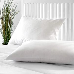 Pikolin Home - Oreiller en duvet d'oie premium - 50% duvet - Doux - 90x40cm - Publicité Pikolin Home - Oreiller en duvet d'oie premium - 50% duvet - Doux - 90x40cm - Publicité