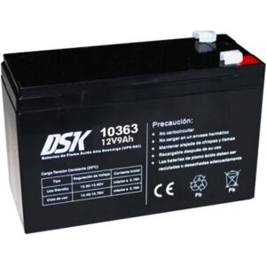 Dsk 10363 UPS Batterij - 12V 9Ah, Gesloten Loodzuur Dsk 10363 UPS Batterij - 12V 9Ah, Gesloten Loodzuur