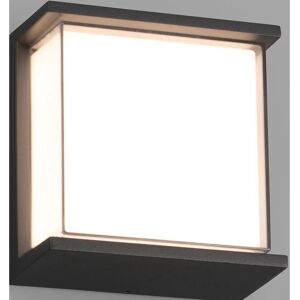 Faro Hikari Outdoor LED Dark Grey Wall Light - Outdoor Lighting Faro Hikari Outdoor LED Dark Grey Wall Light - Outdoor Lighting