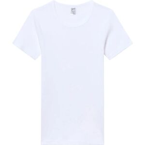 Abanderado Menino Camiseta Clássica de Manga Curta - Branca - Tamanho 6 anos - Camiseta Abanderado Menino Camiseta Clássica de Manga Curta - Branca - Tamanho 6 anos - Camiseta