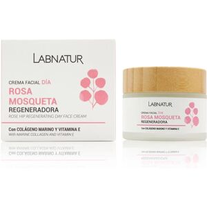 Crema Facial De Día De Rosa Mosqueta - Regenera y Nutre - 50ml Crema Facial De Día De Rosa Mosqueta - Regenera y Nutre - 50ml