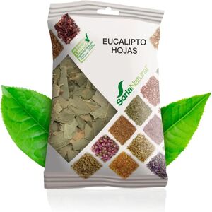 Soria Natural Eukalyptusblätter - Bio-Kräutertee Soria Natural Eukalyptusblätter - Bio-Kräutertee