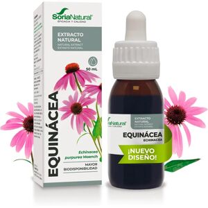 Soria Natural Echinacea Extract 50ml - Food Supplement Soria Natural Echinacea Extract 50ml - Food Supplement