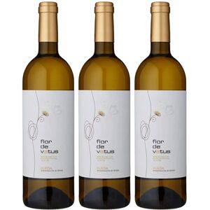Vetus Flor de Vetus Rueda Verdejo - Vino Blanco Vetus Flor de Vetus Rueda Verdejo - Vino Blanco