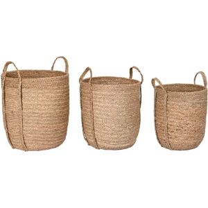 DKD Home Decor Rośliny morskie dekoracyjne pudełko - 3 sztuki DKD Home Decor Rośliny morskie dekoracyjne pudełko - 3 sztuki