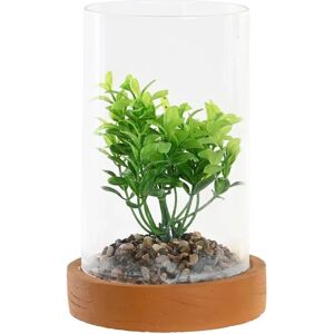 DKD HOME DECOR Decorative Plant - 2 Units - 12x12x18cm - Urban Design DKD HOME DECOR Decorative Plant - 2 Units - 12x12x18cm - Urban Design