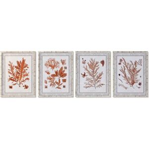 DKD Home Decor Coral Painting - Canvas Art 50x2.8x65cm Set of 4 DKD Home Decor Coral Painting - Canvas Art 50x2.8x65cm Set of 4