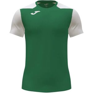 JOMA Record II Verde S Men’s Football T-Shirt JOMA Record II Verde S Men’s Football T-Shirt