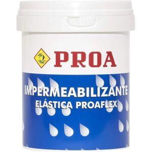 Proa Flex Impermeabilizante - Revestimiento Exterior Elástico Proa Flex Impermeabilizante - Revestimiento Exterior Elástico