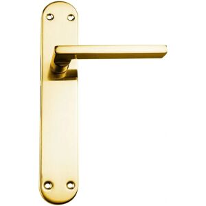 Poignée Droite Zamak Handlock Avec Grande Plaque - Poignée de Porte - Publicité Poignée Droite Zamak Handlock Avec Grande Plaque - Poignée de Porte - Publicité