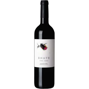 Enate Syrah - 16 Monate Eiche - Spanischer Wein Enate Syrah - 16 Monate Eiche - Spanischer Wein