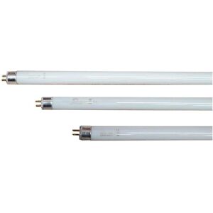 Produit EDM Bleu T8 Éliminateur d'Insectes Électrique - 2100 W Remplacement - Publicité Produit EDM Bleu T8 Éliminateur d'Insectes Électrique - 2100 W Remplacement - Publicité