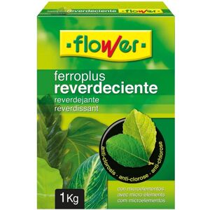 Engrais Reverdenciant Ferro-Plus de FLOWER - 1kg - Publicité Engrais Reverdenciant Ferro-Plus de FLOWER - 1kg - Publicité