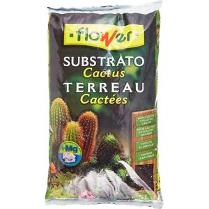 Terreau pour Cactus FLOWER - Substrat pour Plantes Grasses - Publicité Terreau pour Cactus FLOWER - Substrat pour Plantes Grasses - Publicité