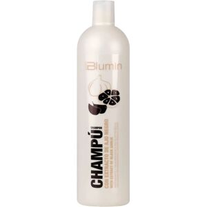 TAHE Urban Blumin Black Garlic Shampoo - Hydrate & Nourish Hair - Publicité TAHE Urban Blumin Black Garlic Shampoo - Hydrate & Nourish Hair - Publicité