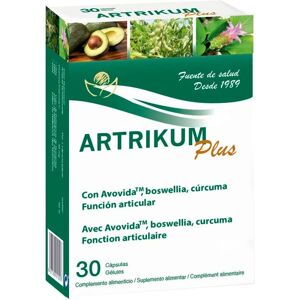 Bioserum Artrikum Plus 30 Cápsulas - Suplemento Bioserum Artrikum Plus 30 Cápsulas - Suplemento