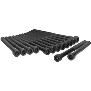 AJUSA 81023500 - Vis de culasse - Polygone intérieur 9,5 AJUSA 81023500 - Vis de culasse - Polygone intérieur 9,5