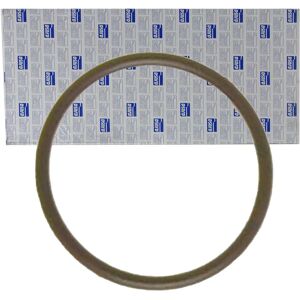 Ajusa 13125600 Intake Manifold Gasket - Intake Manifold Ajusa 13125600 Intake Manifold Gasket - Intake Manifold