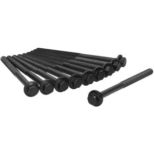 AJUSA 81029200 Vis de culasse - Vis de culasse de haute qualité AJUSA 81029200 Vis de culasse - Vis de culasse de haute qualité