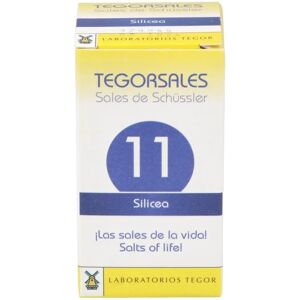 Tegor Tegorsales 11 Silicio 350 Comprimidos - Dietary Supplement Tegor Tegorsales 11 Silicio 350 Comprimidos - Dietary Supplement