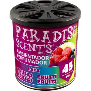 BigBuy Ambientador coche Lila - Frutas Exóticas - Ambientador para coche BigBuy Ambientador coche Lila - Frutas Exóticas - Ambientador para coche
