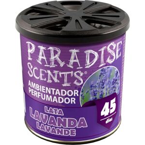 BigBuy Car Lavanda Ambientador - Ambientador BigBuy Car Lavanda Ambientador - Ambientador