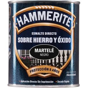 Smaltatura per metalli Bruguer - 750ml - Nero - Protezione contro la ruggine 8 anni Smaltatura per metalli Bruguer - 750ml - Nero - Protezione contro la ruggine 8 anni