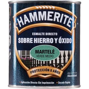 BRUGUER Vernice per Metallo - Verde Medio - Antiruggine, 750ml BRUGUER Vernice per Metallo - Verde Medio - Antiruggine, 750ml