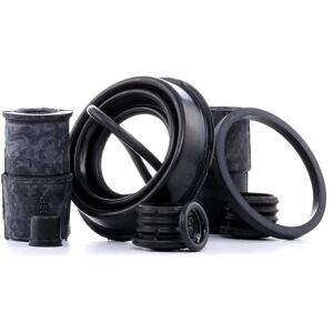 Kit di riparazione, pinza freno Autofren Seinsa D42241 - Assale posteriore Kit di riparazione, pinza freno Autofren Seinsa D42241 - Assale posteriore