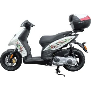 Supporto Shad Piaggio Typhoon Top Master Supporto Shad Piaggio Typhoon Top Master